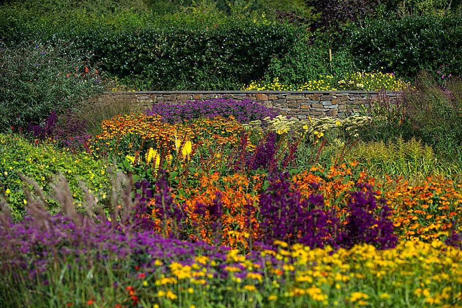 Gardening in the Summer Heat